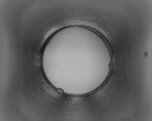 X0000091071501200708271205