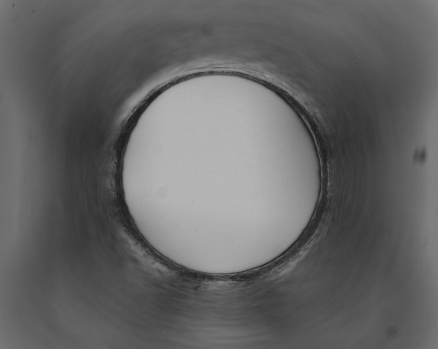 X0000091071502200708271205