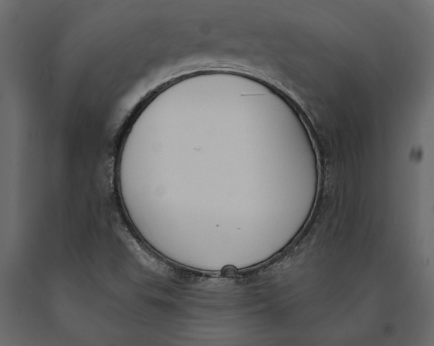 X0000091071503200708271205