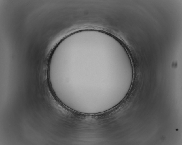 X0000091071504200708271205