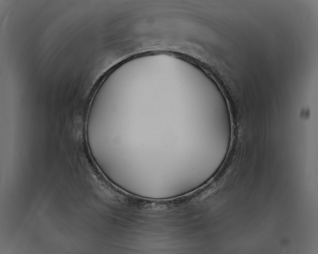 X0000091071505200708271205