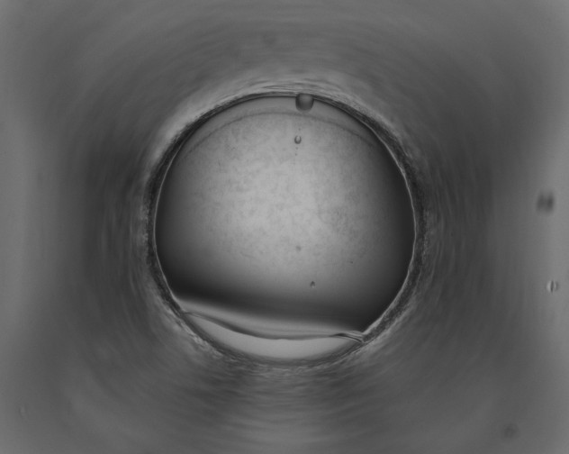 X0000091071506200708271205