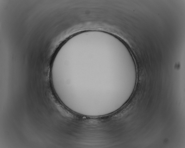 X0000091071507200708271205