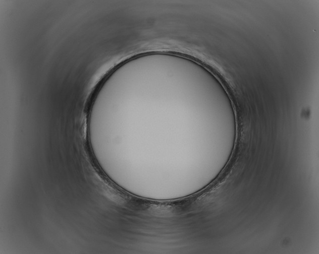 X0000091071509200708271205