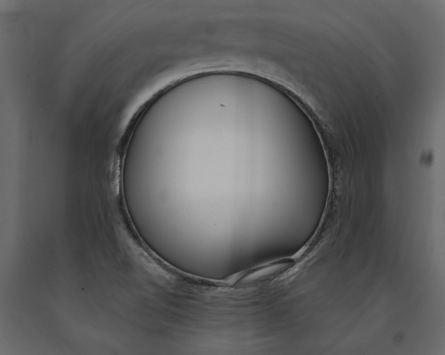 X0000091071510200708271205