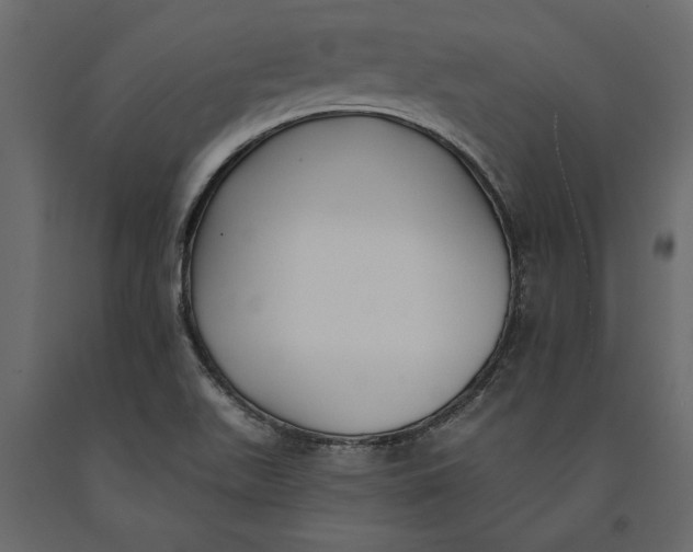 X0000091071511200708271205