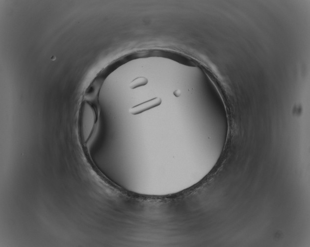 X0000091071512200708271205