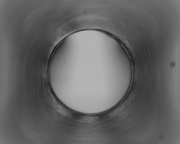 X0000091071513200708271205