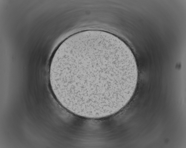 X0000091071514200708271205