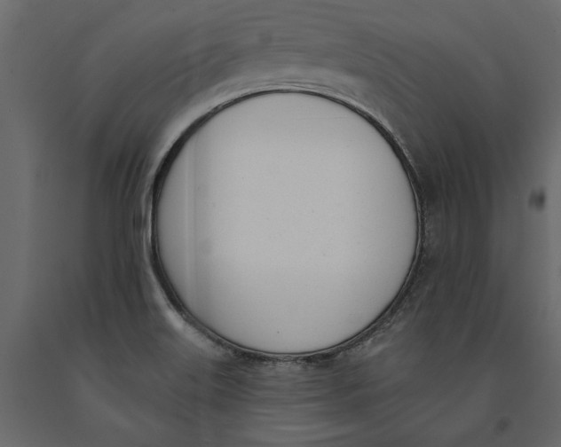 X0000091071515200708271205