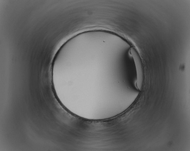 X0000091071516200708271205