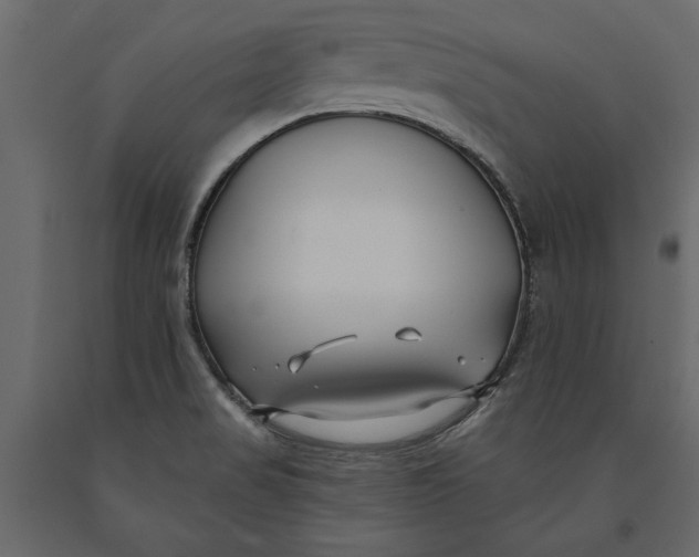 X0000091071517200708271205