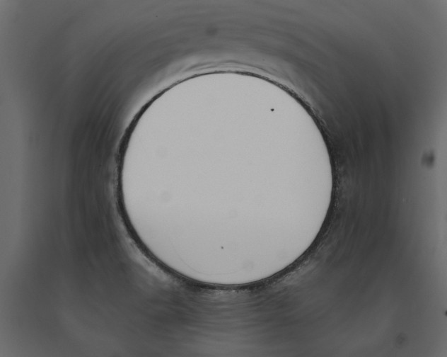 X0000091071518200708271205