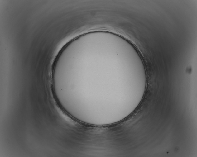 X0000091071519200708271205