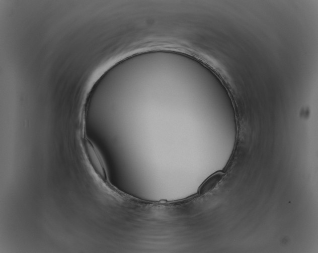 X0000091071520200708271205