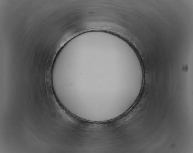 X0000091071521200708271205