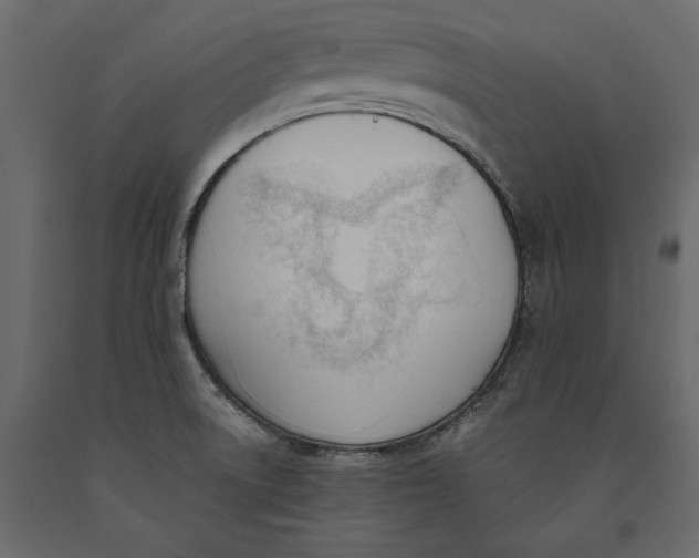 X0000091071522200708271205