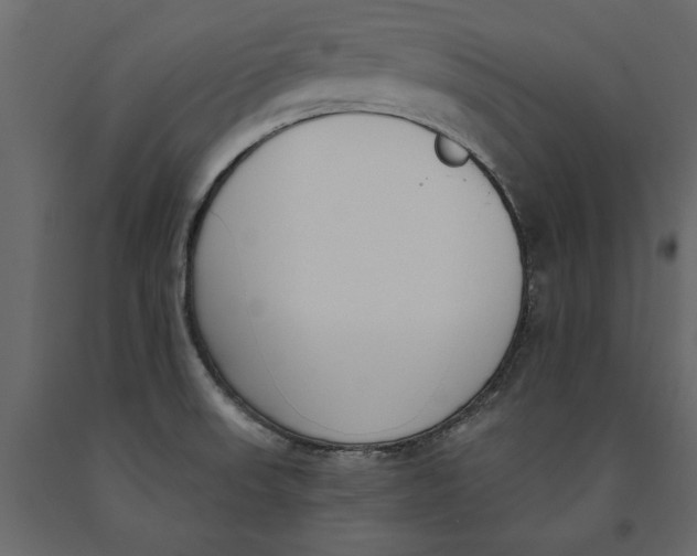 X0000091071523200708271205