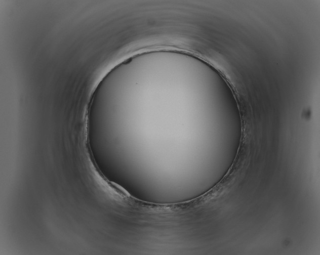 X0000091071524200708271205