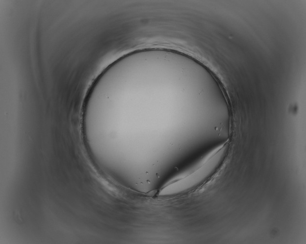 X0000091071525200708271205