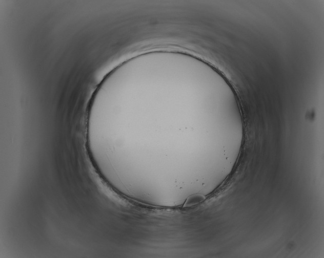 X0000091071526200708271206