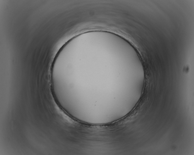 X0000091071527200708271206