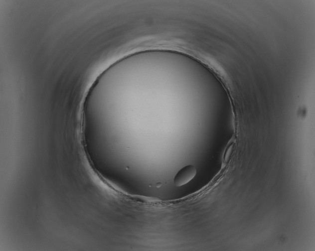 X0000091071528200708271206