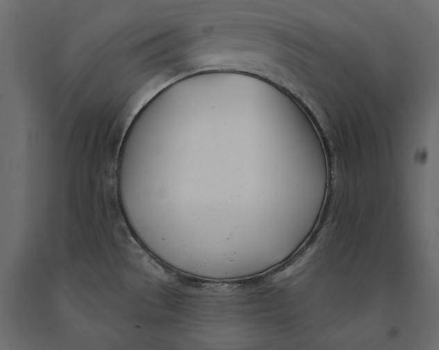 X0000091071529200708271206