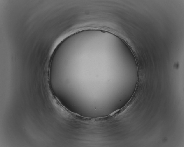 X0000091071530200708271206