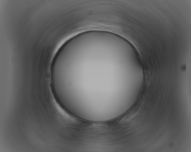 X0000091071531200708271206