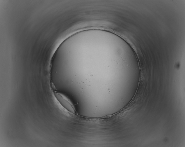 X0000091071532200708271206