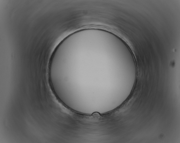 X0000091071533200708271206