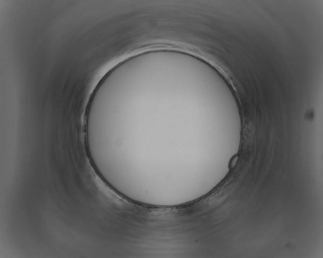 X0000091071535200708271206