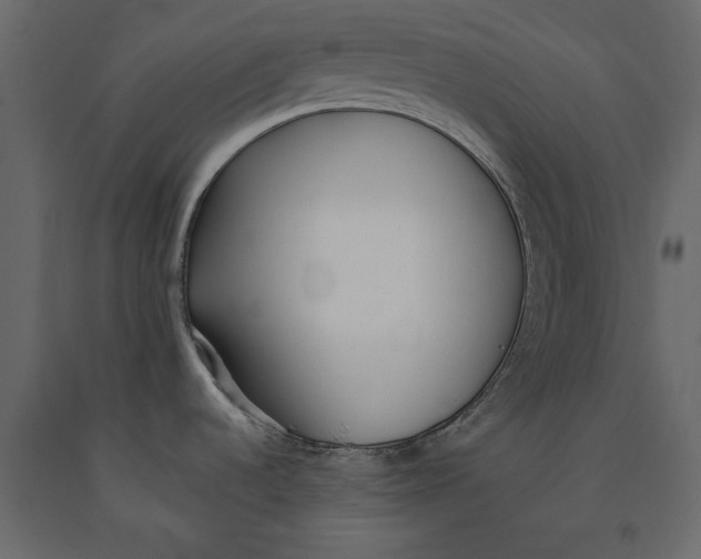 X0000091071536200708271206