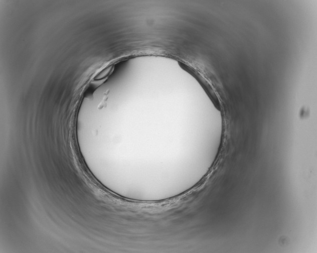 X0000091070001200709041229