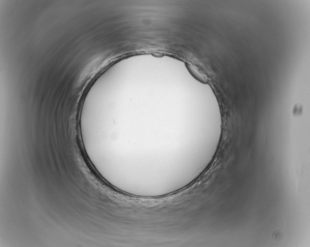 X0000091070002200709041229