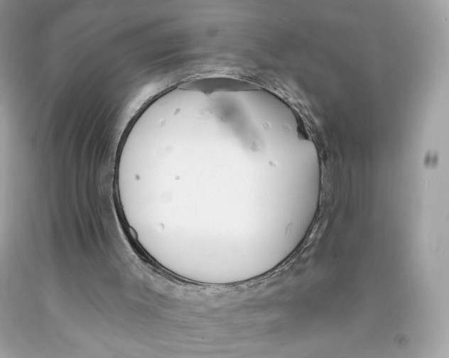 X0000091070003200709041229