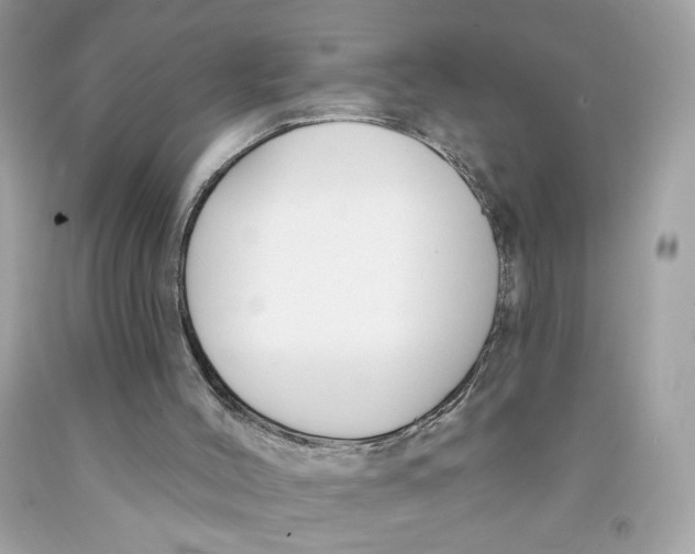 X0000091070004200709041229