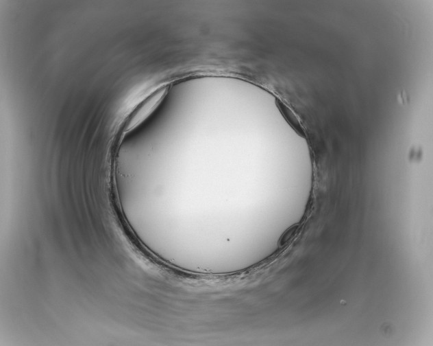 X0000091070005200709041229