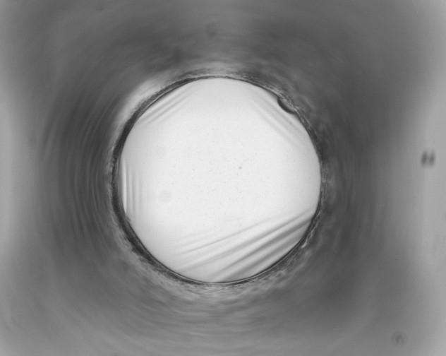 X0000091070006200709041229