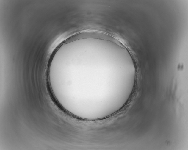 X0000091070007200709041229