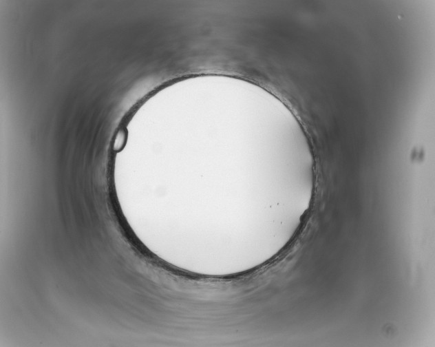 X0000091070008200709041229