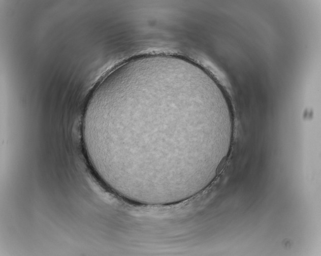 X0000091070009200709041229
