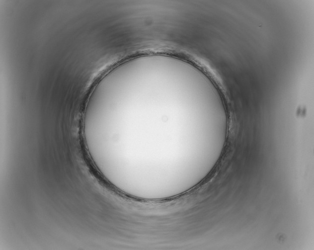 X0000091070010200709041229