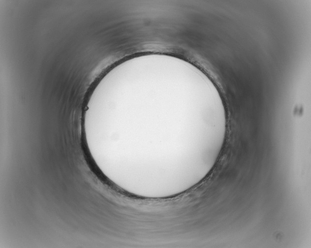 X0000091070011200709041229