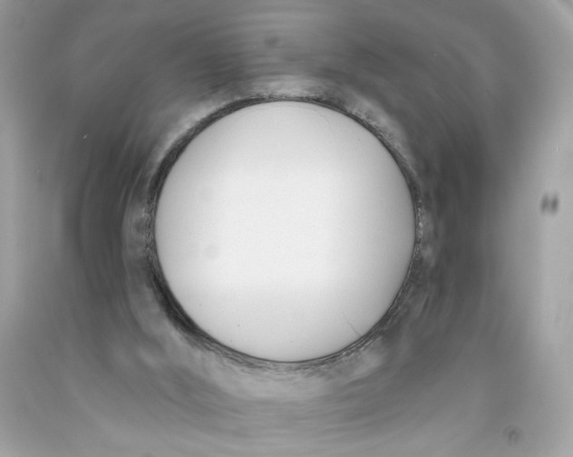 X0000091070012200709041229