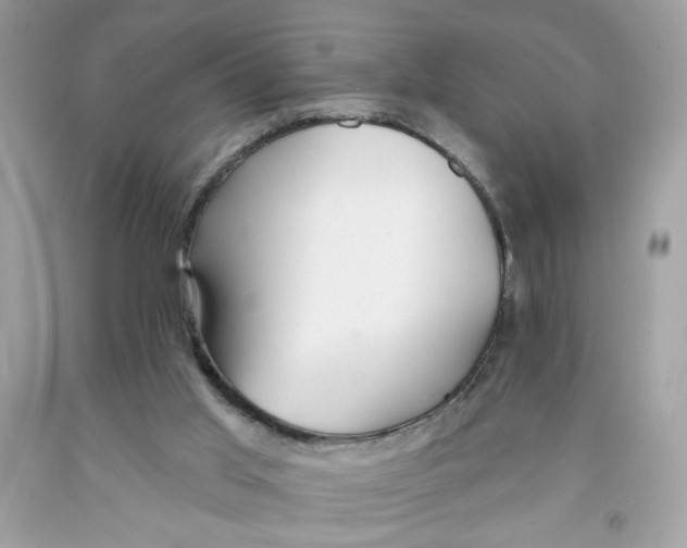 X0000091070013200709041229