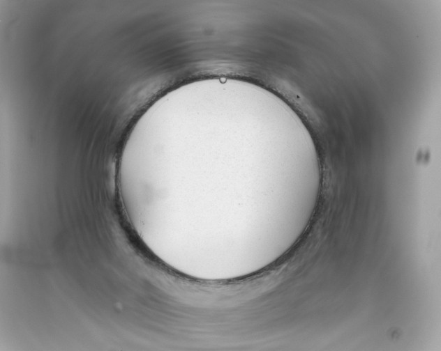X0000091070014200709041229