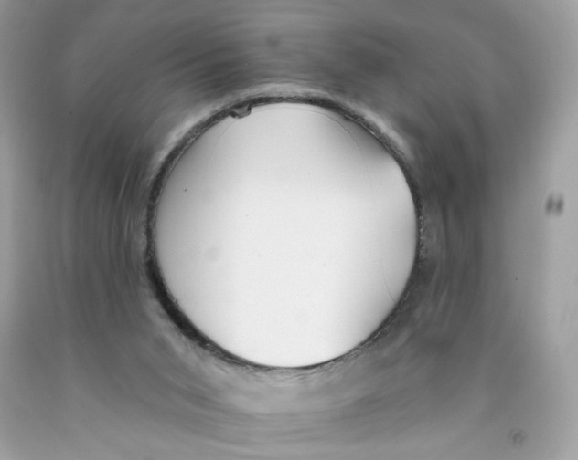 X0000091070015200709041229