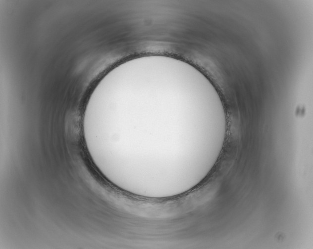 X0000091070016200709041229